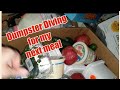 Come DUMPSTER DIVING with Me! Inside the Grocery Store Dumpster 🗑️