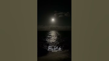 وَفِي السَّمَاءِ رِزْقُكُم وَما توعدون تلاوة قصيرة | الشيخ عبدالله الموسى 💞🫀 #quranverses