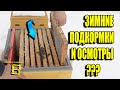 СПОСОБЫ ПОДКОРМКИ ПЧЕЛ ЗИМОЙ. ВОЗМОЖЕН ЛИ ОСМОТР ПЧЕЛ ЗИМОЙ?  ДЛЯ НАЧИНАЮЩИХ ПЧЕЛОВОДОВ 45-21