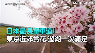 日本最長單車道！東京近郊賞花、遊湖一次滿足｜三立新聞網 ...