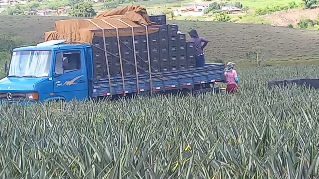 CARREGANDO EM LAGOA DE DENTRO - PB