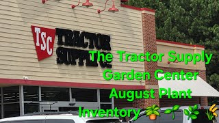 The Tractor Supply Garden Center Early August Plant Inventory 🪴 