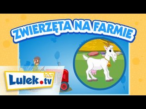 Wideo: Czarny Lulek