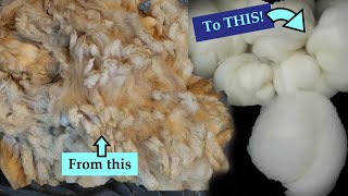 Ask The Woolery: Carding and Combing 