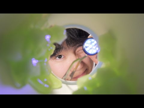 【ASMR】鼓膜が気持ちいい！！耳掃除ロールプレイング👂🧹【SUB】Feels good! Ear cleaning role playing👂🧹