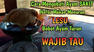 CARA MENAMBAH NAFSU MAKAN AYAM. 