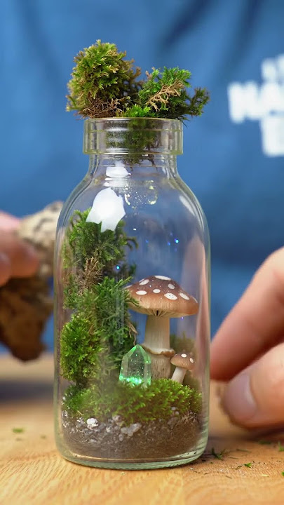Tiny Fairy Bottle Garden DIY ✨ Magical Mini World!
