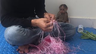 baby monkey sitting obediently watching dad work