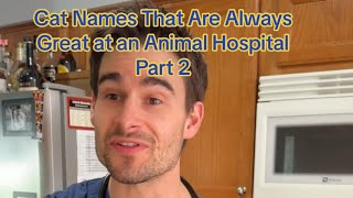 Cat Names That Are Always Great at an Animal Hospital  Part 2