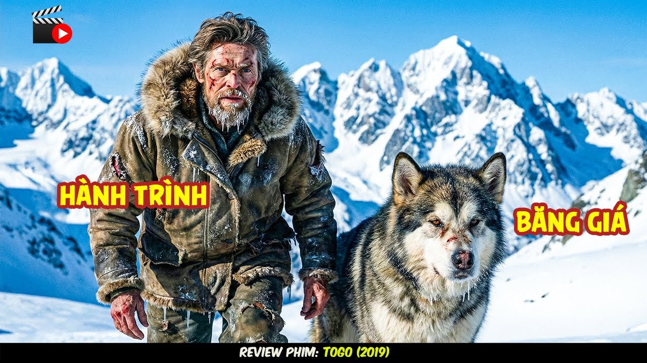 [Review Phim] Chú Chó Bất Tử Và Cuộc Phiêu Lưu 1.000 Km Giành Lại Sự Sống