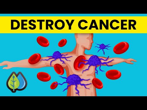 Top 11 Nutrients To Destroy Cancer Stem Cells