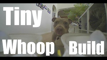 How to build a Tiny Whoop