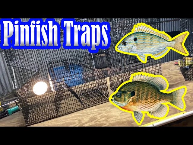 Pinfish Trap - Overview of the Clover and Rectangular Style