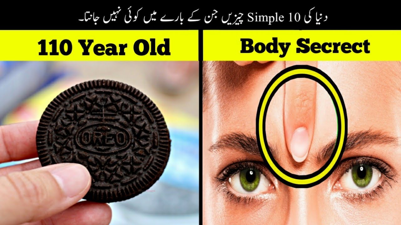 10 Simple Things You Don't Know Before | Haider Tv