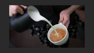 Curso de Barista clase 5 | Como seleccionar a tu proveedores