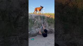 Hero dog rescued his owner from water...🥰🐶#shorts #youtubeshorts #dog