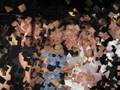 SuMmEr PaRty 2008