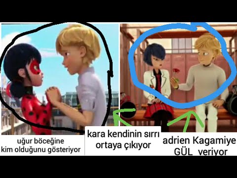 Mucize uğur böceği ile kara kedi 2.sezon 22.bölüm