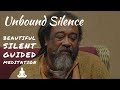 Unbound Silence - Mooji Baba must see Guided Meditation
