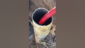 What Does The Inside Of A Distribution Box Look Like For A Septic System?