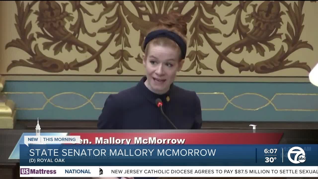 Michigan Sen. Mallory McMorrow blasts fellow Sen. Lana Theis in ...