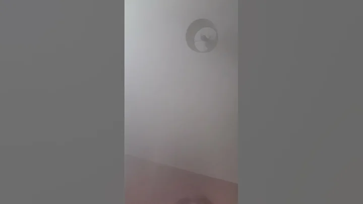 Puinguin