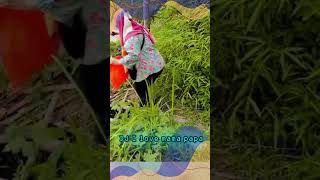 DJ I LOVE MAMA PAPA - Jedag Jedug Full Bass Viral TikTok 2026