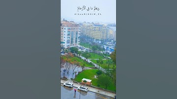 "إن الله عليم خبير"ـ سورة لقمان ـ عمر ضياء الدين. #قران_كريم #راحة_نفسية #quran #قرآن