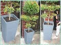 How to Make Beautiful Concrete Planters for Any Plants | DIY Cement Pot