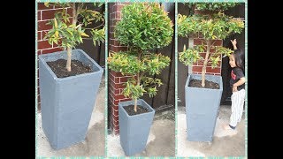 あらゆる植物のための美しいコンクリートプランターを作る方法| DIYセメントポット