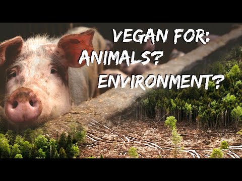 Why animal rights activists SHOULD talk about the environment