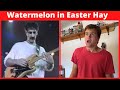 Guitar Players Reaction to Watermelon in Easter Hay
