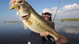 LURED - A NEW IGFA Length World Record Largemouth Bass