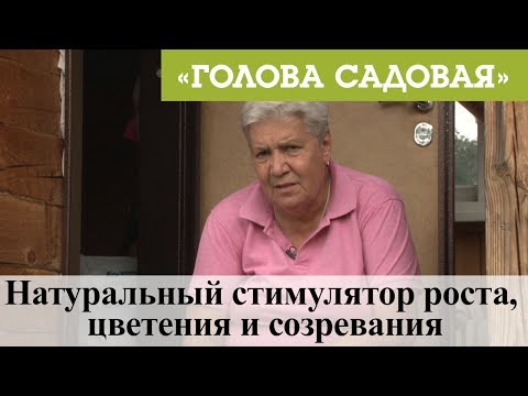 Голова садовая Натуральный стимулятор роста, цветения и созревания