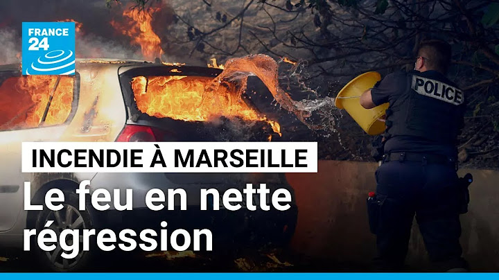 Incendie à Marseille : le feu est encore actif, mais baisse en intensité • FRANCE 24