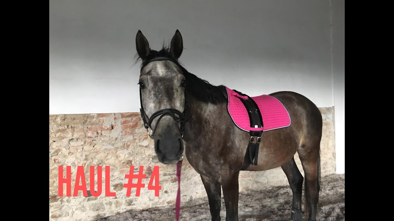 HAUL #4 II Natty & Koně