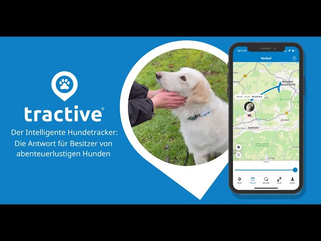 GPS y Monitor de Actividad para perros – Tractive GPS DOG 4 - Bella&Friends