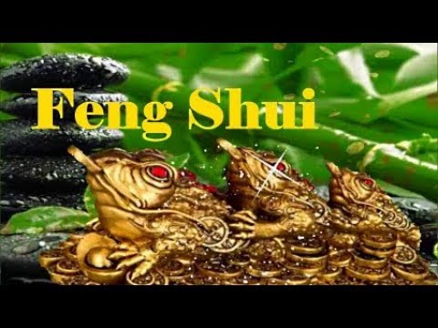 Money Frog Brings A Wealth And Good Fortune According To Feng Shui