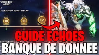 GUIDE COMPLET ECHOES ET BANQUE DES DONNEES! ASTUCES ET ERREURS A NE PAS FAIRE | WUTHERING WAVES