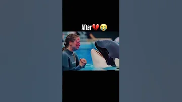 Jessica Orca Before After Jessica Orca Dolphinattack Dolphin Trending Short Shorts New 