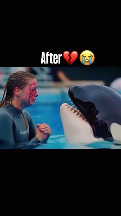 jessica orca before & after 🥺#jessica #orca #dolphinattack #dolphin #trending #short #shorts #new