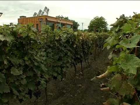 ურმას პაეტი ყვარელში