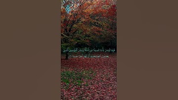 📖 تلاوة خاشعة لبداية سورة الكهف | أحمد العجمي 🎧📖Kehf Suresi’nin Başlangıcı| Ahmed Al-Ajmi Tilaveti 🎧