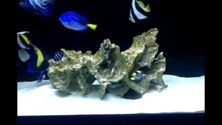 VID 20100830 222629 mp4