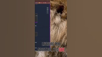 🔴 Entendiendo los componentes de Laravel Livewire, Ejemplo!