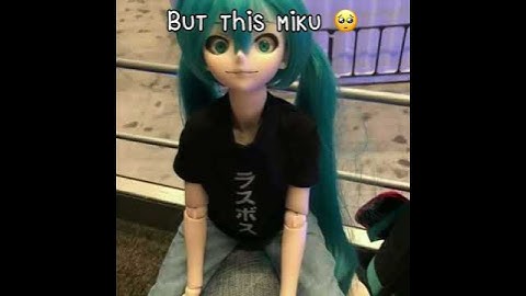 Real Miku…But the doll Miku