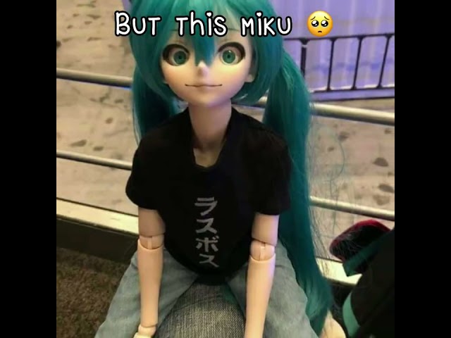 Real Miku…But the doll Miku class=