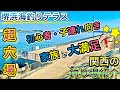 【堺浜海釣りテラス】子連れ家族ならココ！サビキ釣りに最適なポイント〜関西のおすすめ釣り場紹介〜