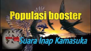 suara inap walet, suara booster populasi walet (si. Kamasuka)