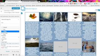 Featured Image Pro Colors